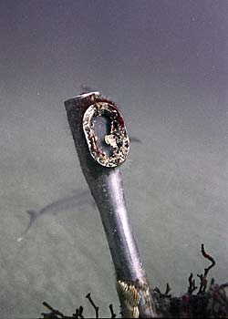 U701j.jpg